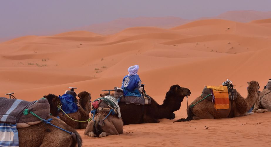 28 38 Erg Chebbi woestijn 7